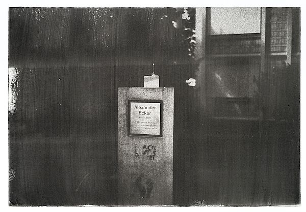 Ausstellungsfoto